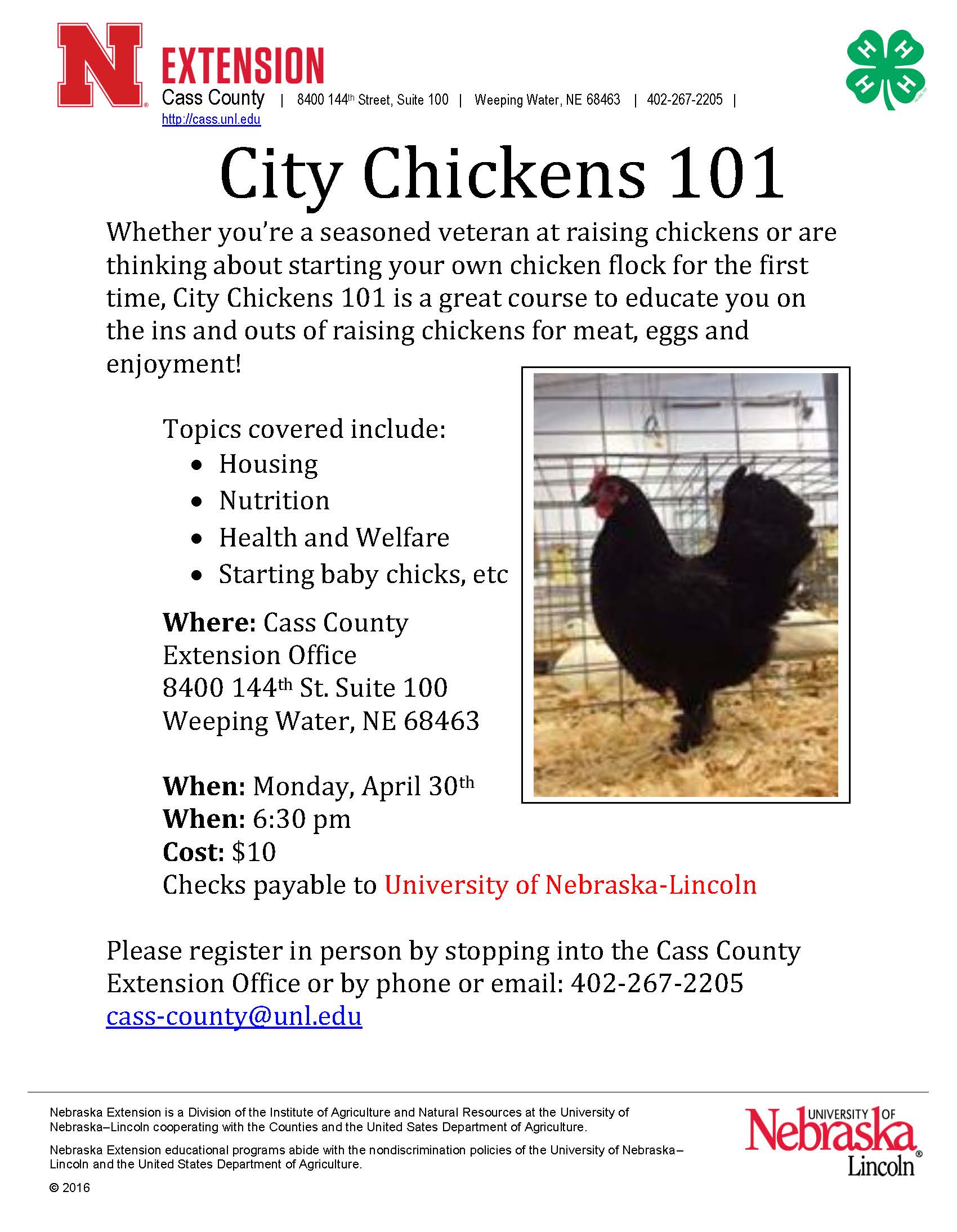 City Chickens 101 Class Flier