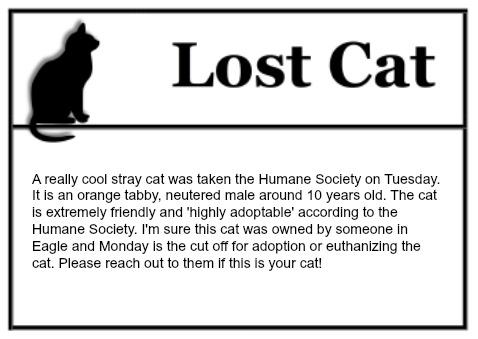 Lost Cat Flyer